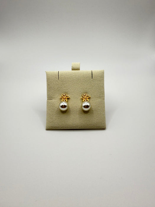 Starfish Earrings Gold Filled